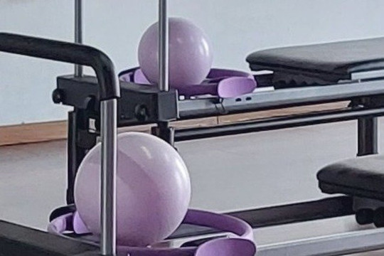 Imagen 3 de la galería del partner Sathya Pilates