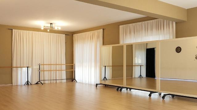 Immagine 3 dalla galleria del partner Accademia Italiana di Ballo Dancing CluB