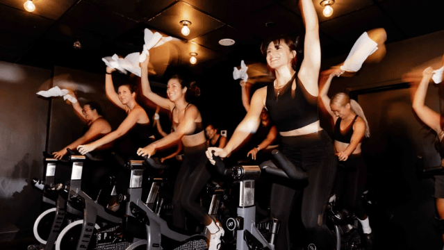 Image 1 from SPINCO - Montreal partner gallery