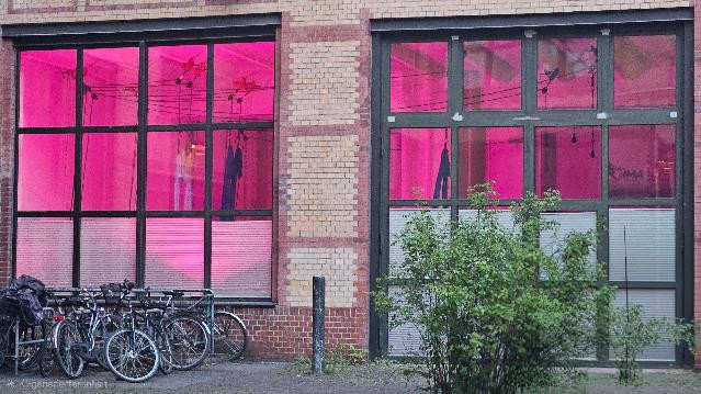 Bild 2 von IMA Intentional Movement Academy Partnergalerie