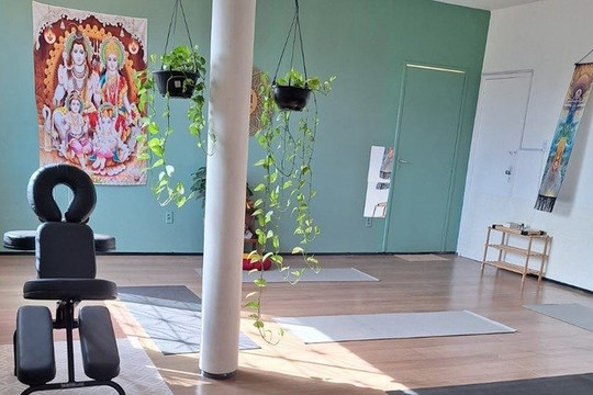 Imagem 2 da galeria do parceiro Soul Yoga Studio