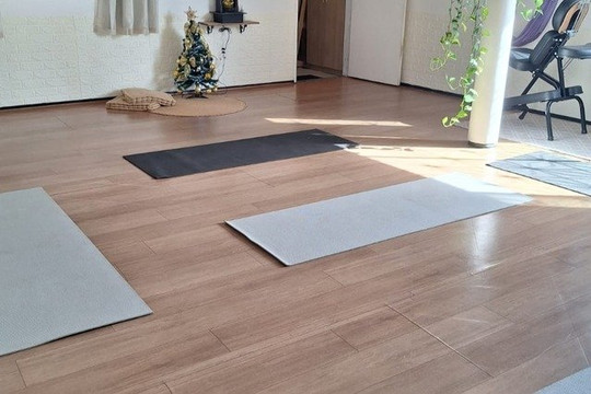 Imagem 3 da galeria do parceiro Soul Yoga Studio