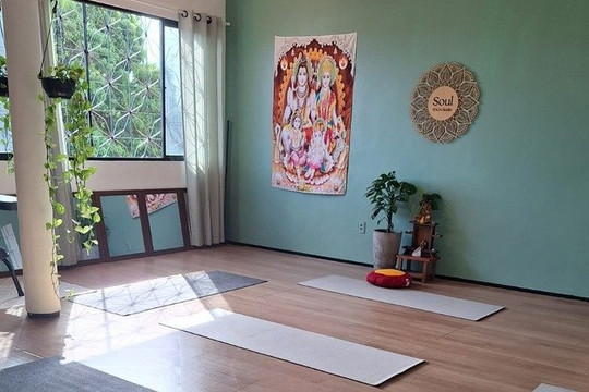 Imagem 1 da galeria do parceiro Soul Yoga Studio