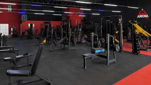 Imagem 1 da galeria do parceiro Arena Fitness