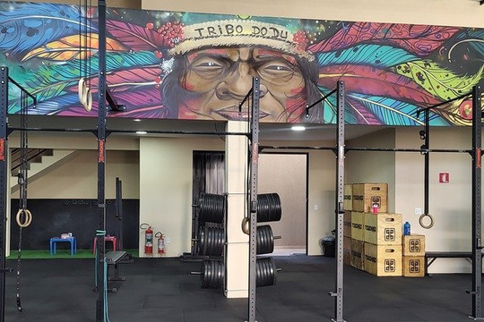 Imagem 1 da galeria do parceiro Tribo do Du Academia