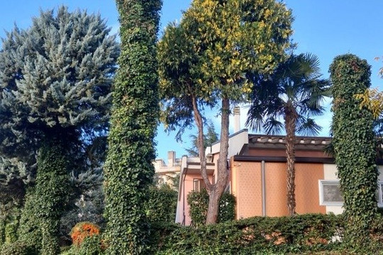 Immagine 2 dalla galleria del partner OroGym