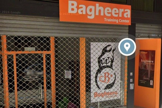 Imagen 2 de la galería del partner Bagheera Training Center