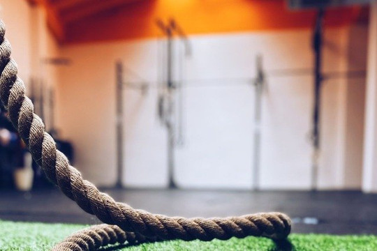 Imagen 1 de la galería del partner Bagheera Training Center