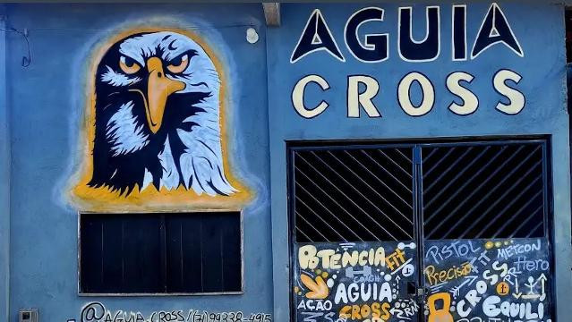 Imagem 2 da galeria do parceiro Águia LPO