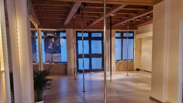 Bild 1 von PoleSpirit - Pole Fitness & Dance Studio Neuburg Partnergalerie