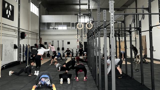 Imagen 2 de la galería del partner Panda Training Club