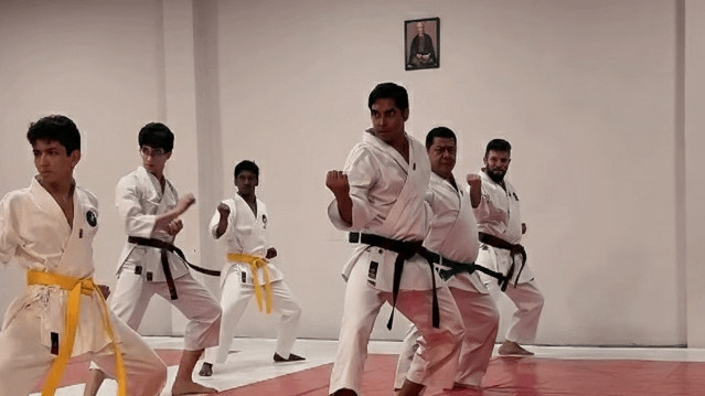 Imagem 1 da galeria do parceiro Bushido Karatê Club - Dojo WR