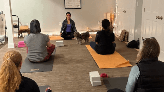 Image 1 from Blue Hills Yoga partner gallery