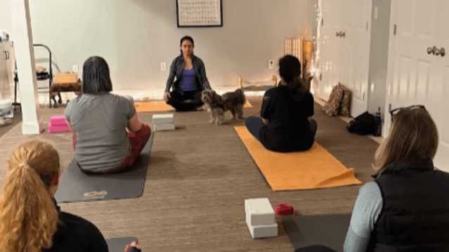 Image 3 from Blue Hills Yoga partner gallery