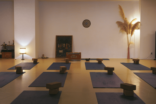 Imagen 3 de la galería del partner Casa del Moviment