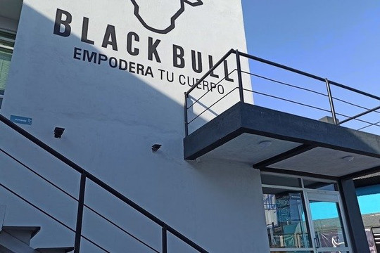 Imagen 2 de la galería del partner Black Bull Fitness