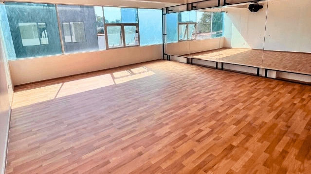 Imagen 2 de la galería del partner Dale Dance