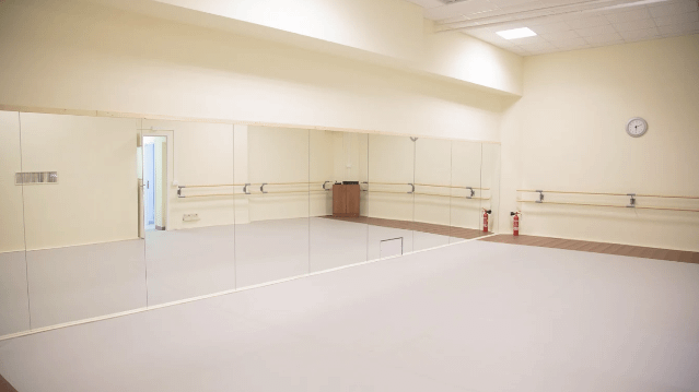 Immagine 1 dalla galleria del partner Centro Studi Danza Classica