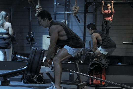 Imagen 1 de la galería del partner Elparque Arcos