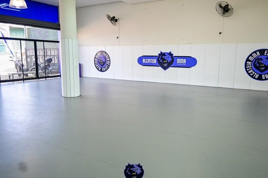 Imagem 1 da galeria do parceiro Alcateia Escola de Lutas