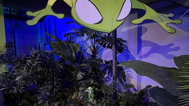 Imagem 3 da galeria do parceiro Kampu Crossfit