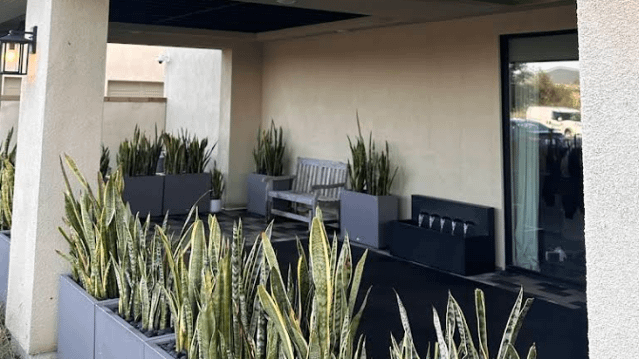 Image 2 from Pilates Collective partner gallery