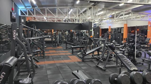 Imagem 1 da galeria do parceiro Life EX