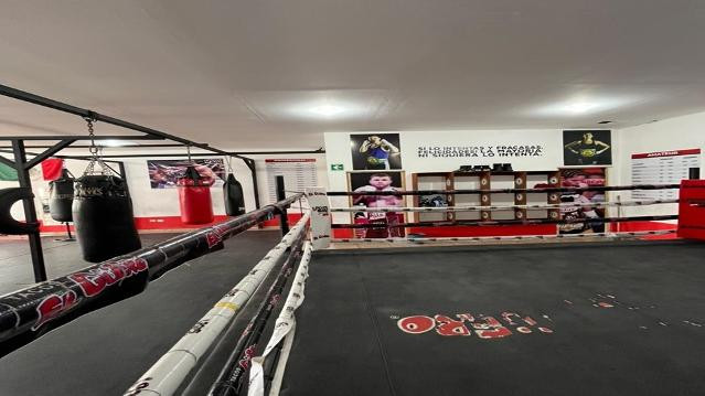 Imagen 3 de la galería del partner Locos por el Box