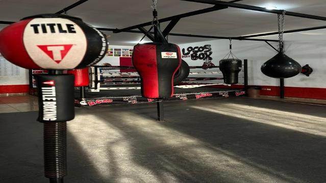 Imagen 1 de la galería del partner Locos por el Box