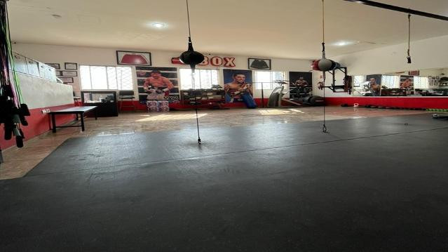 Imagen 2 de la galería del partner Locos por el Box