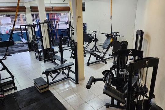 Imagem 1 da galeria do parceiro STUDIO EDU CASTOR - Treinamento Funcional Personalizado