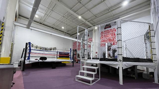 Imagen 1 de la galería del partner Black Mamba