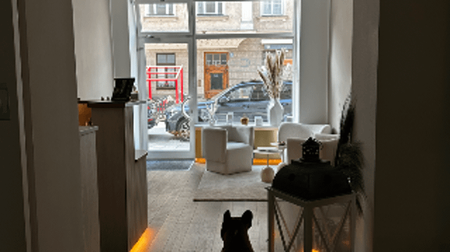 Bild 3 von HOLISTIC CONCEPT Partnergalerie