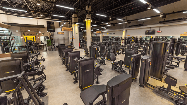 Imagem 1 da galeria do parceiro Force One - Mandacaru