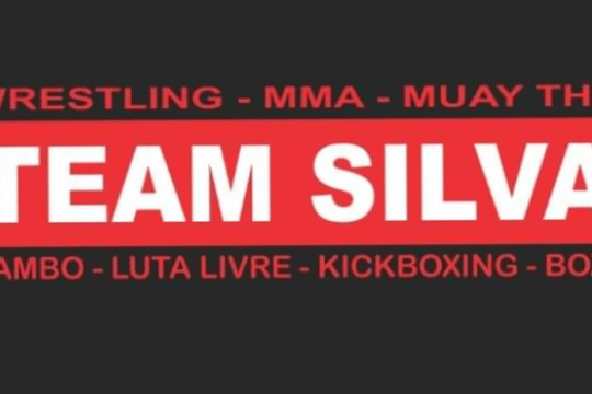 Imagem 1 da galeria do parceiro Academia Team Silva