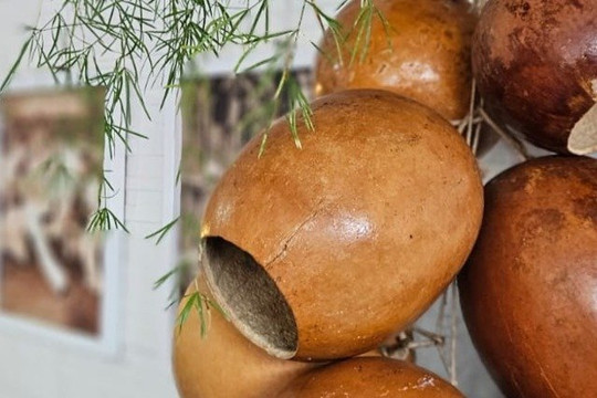 Imagem 3 da galeria do parceiro Espaço Casa de Palha