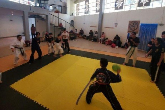 Imagen 1 de la galería del partner Ryu Seishin Kan Dojo Los Laureles