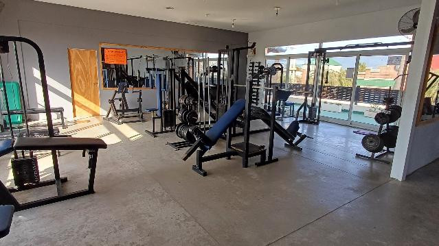 Imagen 1 de la galería del partner Gold Gym