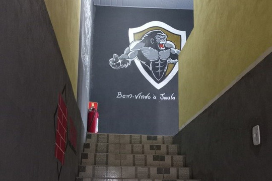 Imagem 2 da galeria do parceiro Team Primata Training