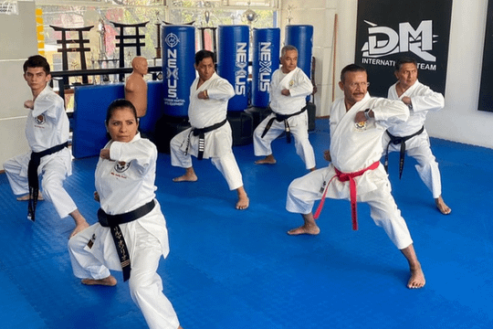 Imagen 3 de la galería del partner Okinawa Sasori