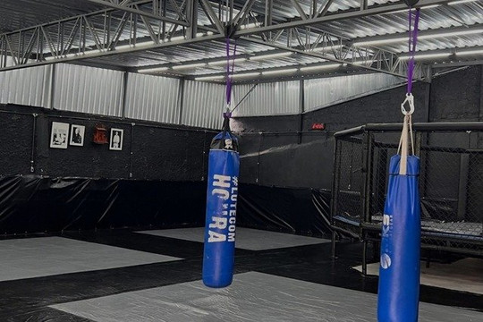 Imagem 3 da galeria do parceiro Arena Hoplon