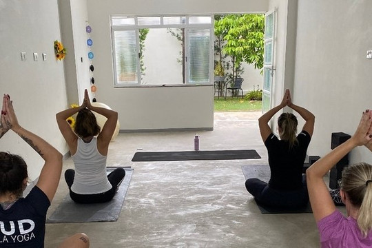 Imagem 3 da galeria do parceiro MUD Shala Yoga
