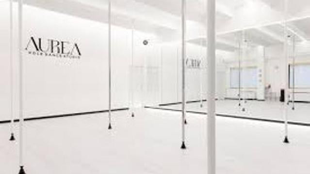 Immagine 1 dalla galleria del partner Aurea Pole Dance & Fitness Studio