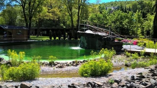 Bild 3 von Naturerlebnisbad Deuz Partnergalerie