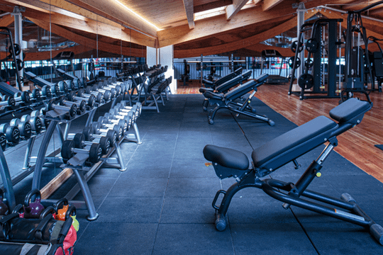 Immagine 1 dalla galleria del partner Juvenia Giustiniana