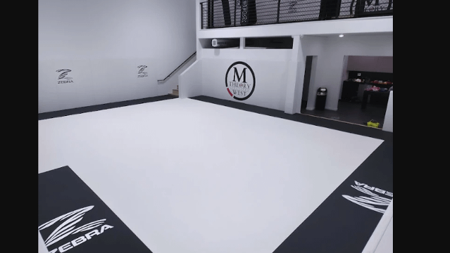 Image 3 from M-Theory Martial Arts - West partner gallery