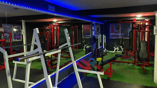 Imagen 1 de la galería del partner SPIDER GYM