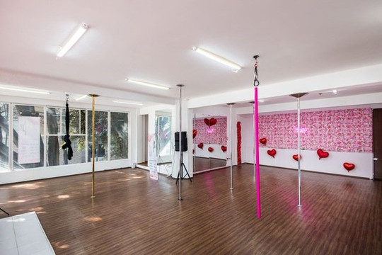 Imagen 1 de la galería del partner Bunny studio by pole city