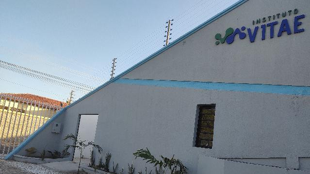 Imagem 2 da galeria do parceiro Instituto Vitae