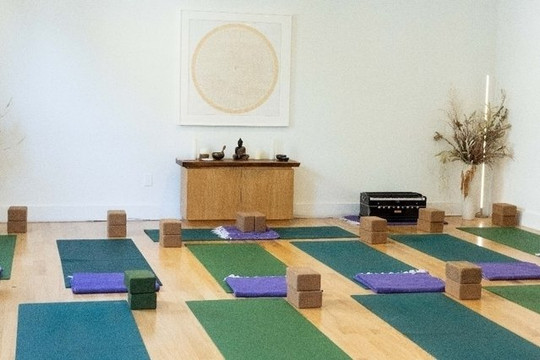 Image 1 from Kalā Yoga Williamsburg partner gallery
